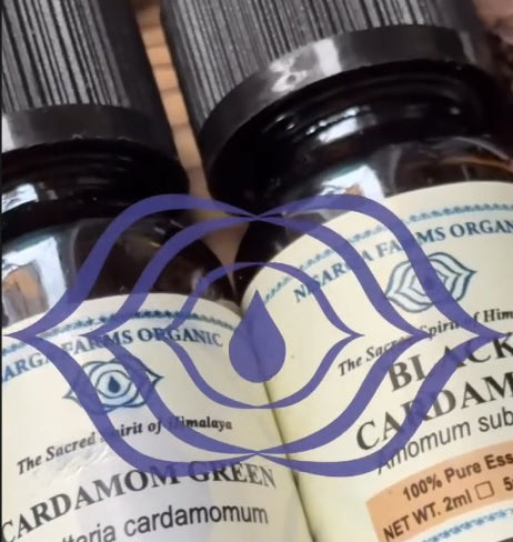 Aroma Organic Essential Oils Collection