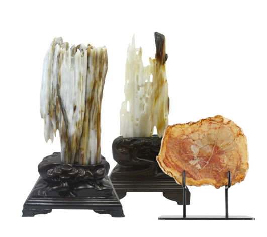 Petrified Wood Sculpture