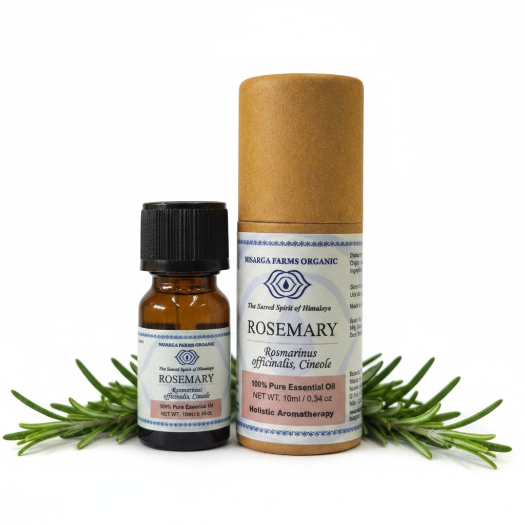 Rosemary 10ML, 100% Organic Concentrated Essential Oils, Aromatherapy Relaxation, Mood Enhancement, Stress Relief