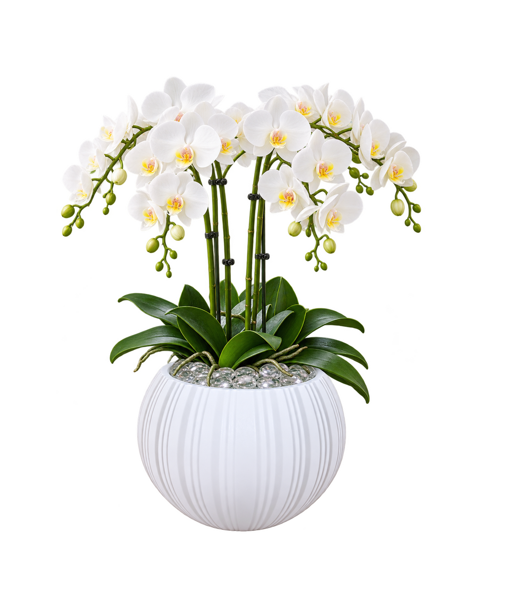 EHAIKA Large Opening Glass Flower Vase, Line Cut Jagged Patterned - Round Shaped, White Color