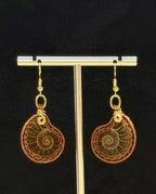 Real Ammonite Lady Drop And Dangle Earrings, Dark Copper Wire, handcrafted Artisan Jewelry