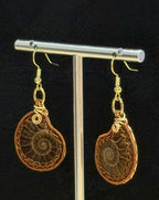 Real Ammonite Lady Drop And Dangle Earrings, Dark Copper Wire, handcrafted Artisan Jewelry