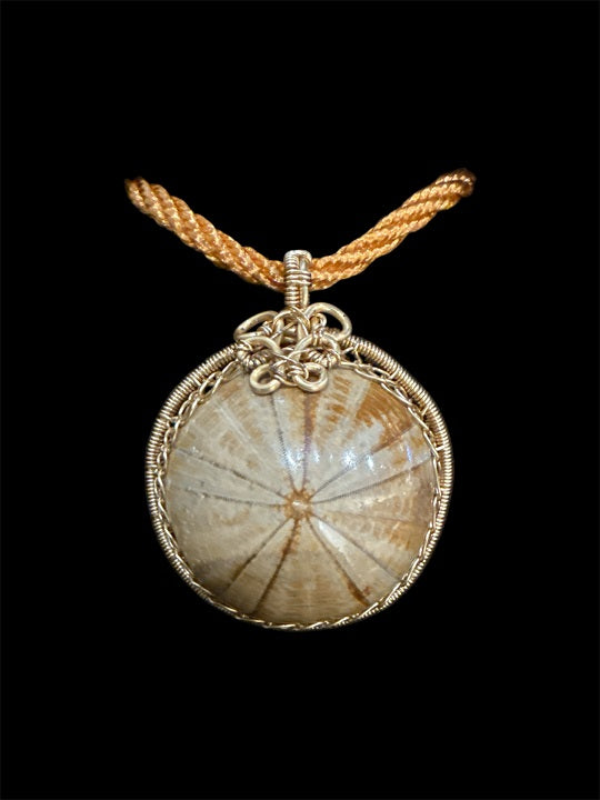 Genuine Natural Fossil Sea Starfish Pendant, With Gold Color Copper Wire, Handmade Artisan Jewellery