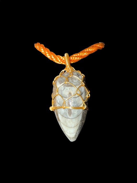 Genuine Fossil Orthocone Nautiloid Pendant, Man, Woman Golden Copper Wire Handmade Artisan Jewelry