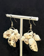 Beautiful Unique Sea Shell Drop Dangling Women Earrings, One-of-a-kind handmade Artisan Jewellery