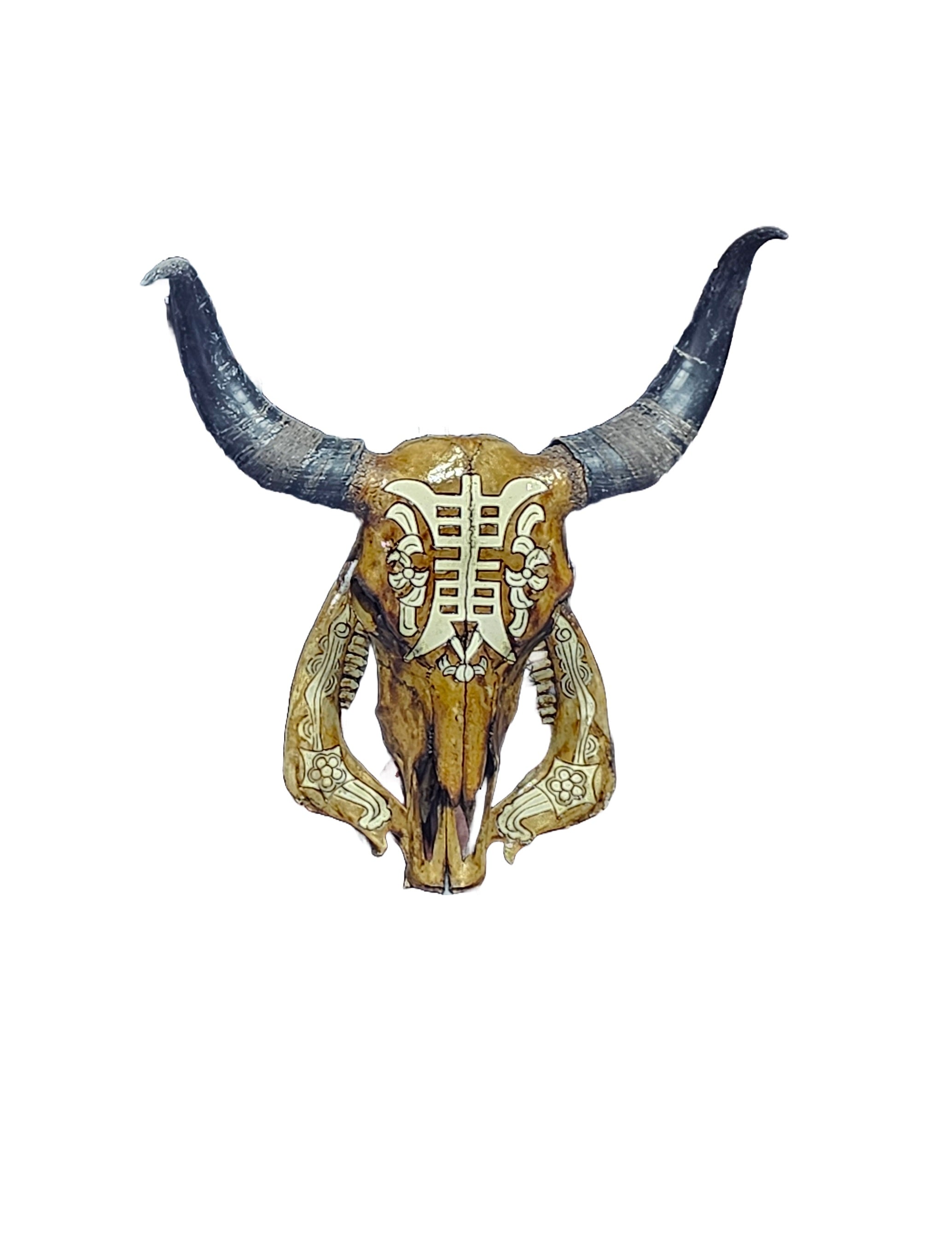 Real cow skull decorative painting cow head wall mount preserved animal skulls taxidermy home restaurant shops decoration