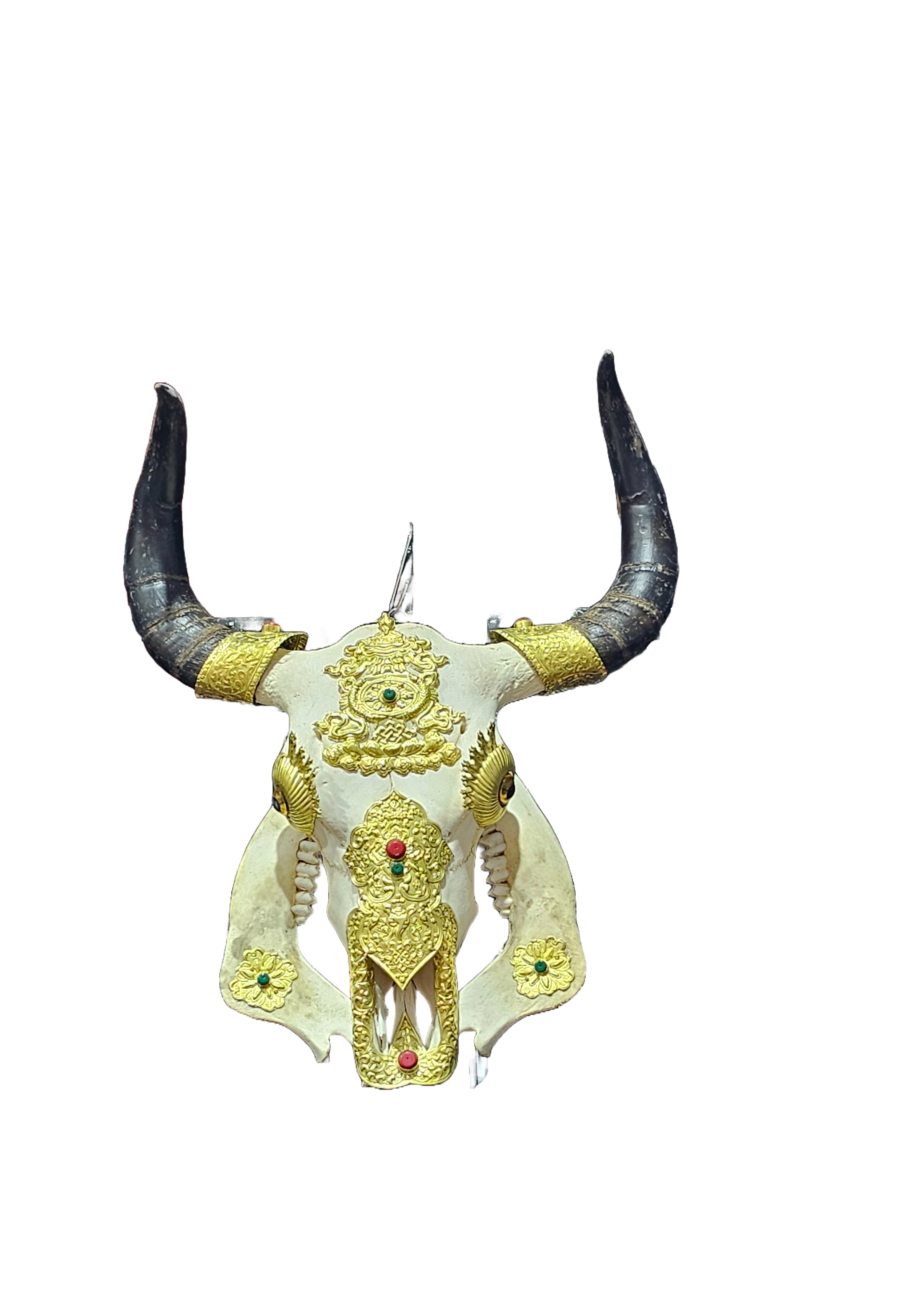 Real cow skull decorative golden brass cow head wall mount preserved animal skulls taxidermy home restaurant shops decoration