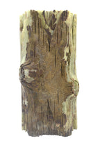 Green onyx stone natural jade lookalike mushroom ornaments carving many children blessings interior decoration