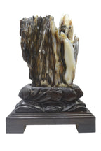 Petrified wood fengshui ornament mountain lookalike flower carving solid wooden base office home