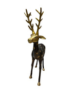 Elegant brass deer 2pcs set colour handcrafted restaurant office home living room welcome decorative showpieces