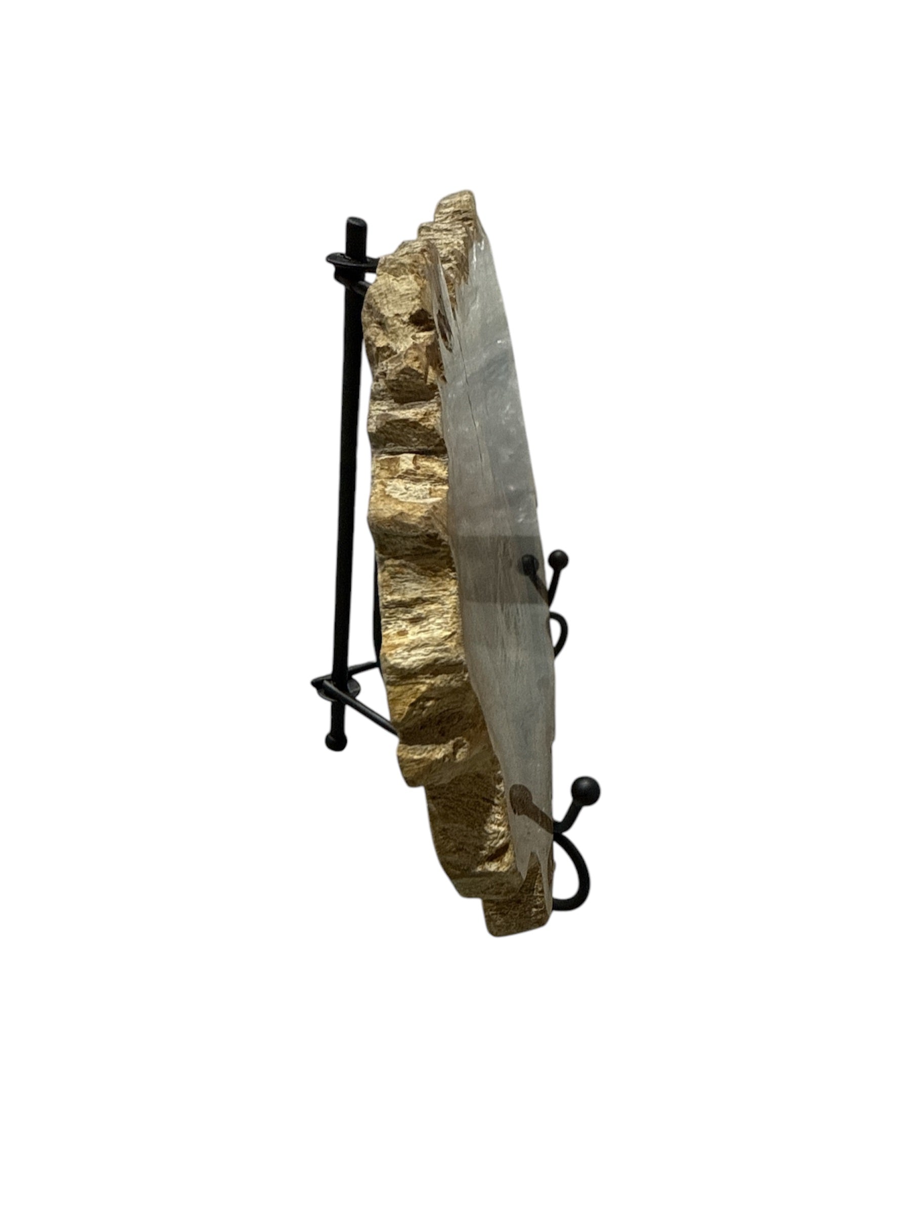 Slice of fossil petrified wood on metal stand showpiece living room tabletop decoration home interior housewarming gift