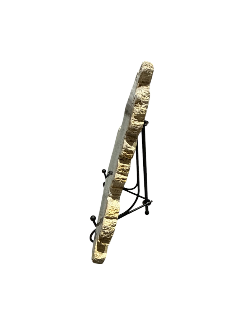 Fossil petrified wood slice on metal holder office desktop showpiece tabletop decoration home interior design perfact gift