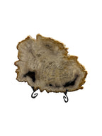 Petrified-wood stone slice on stand office desktop showpiece tabletop decoration home interior design best gift