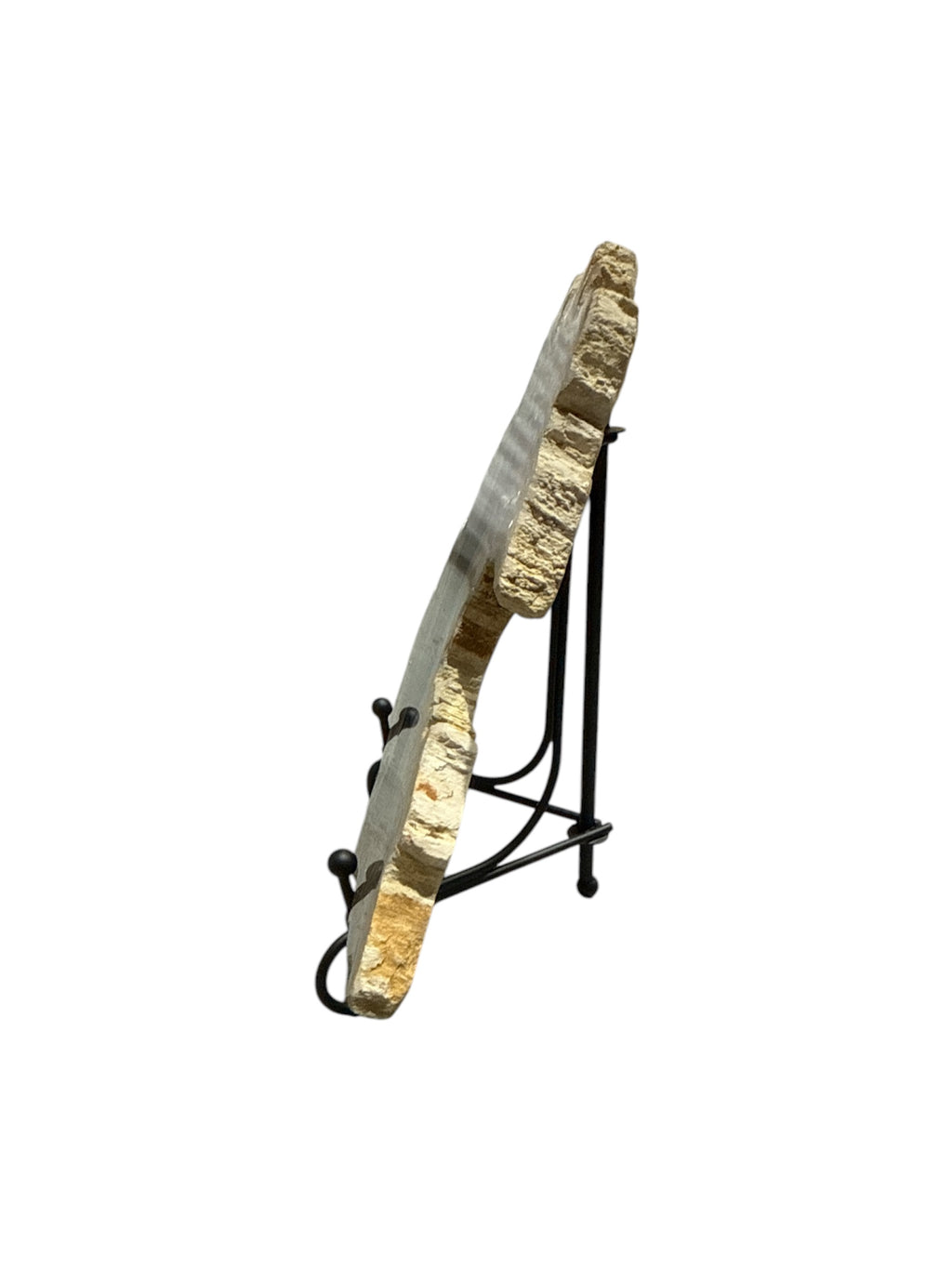 Slice of small fossil petrified wood with stand showpiece living-room tabletop decoration home best housewarming gift