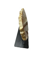 Slice of medium size fossil petrified wood with metal stand showpiece living-room tabletop decoration home best housewarming gift