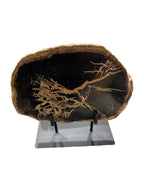 Slice of medium size fossil petrified wood with metal stand showpiece living-room tabletop decoration home best office desktop