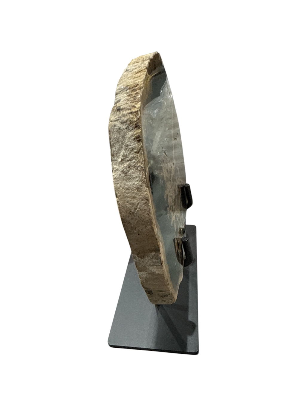 Slice of medium size fossil petrified wood with metal stand showpiece living-room tabletop decoration home best office desktop