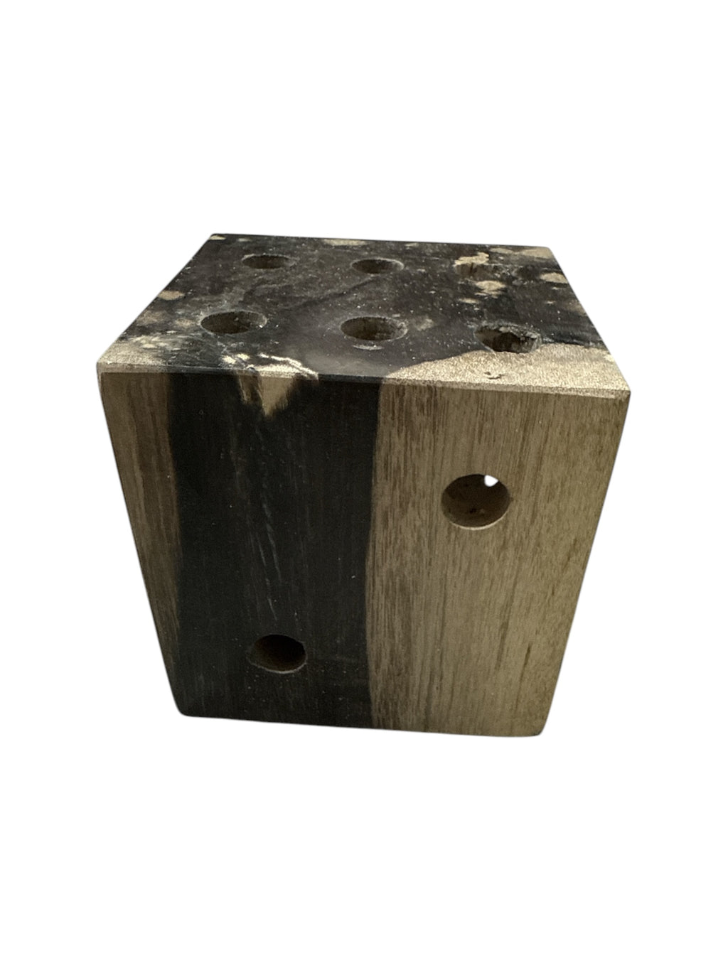 Real fossil petrified-wood stone dice showpiece for home office tabletop decoration in Singapore