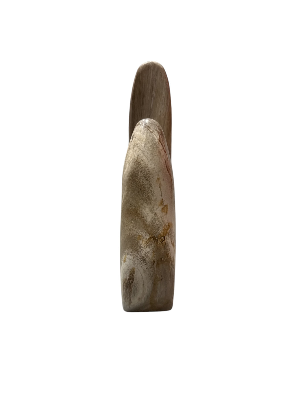 Real fossil petrified-wood stone bear design showpiece for home office tabletop decoration in Singapore