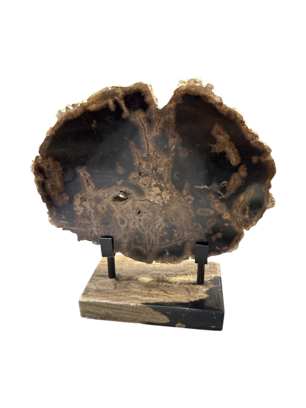 Slice of large size fossil petrified wood with petrified-wood stand showpiece living-room tabletop decoration home best office desktop