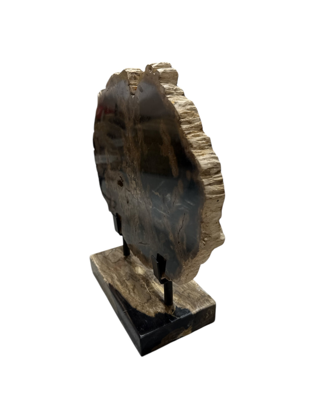 Slice of large size fossil petrified wood with petrified-wood stand showpiece living-room tabletop decoration home best office desktop