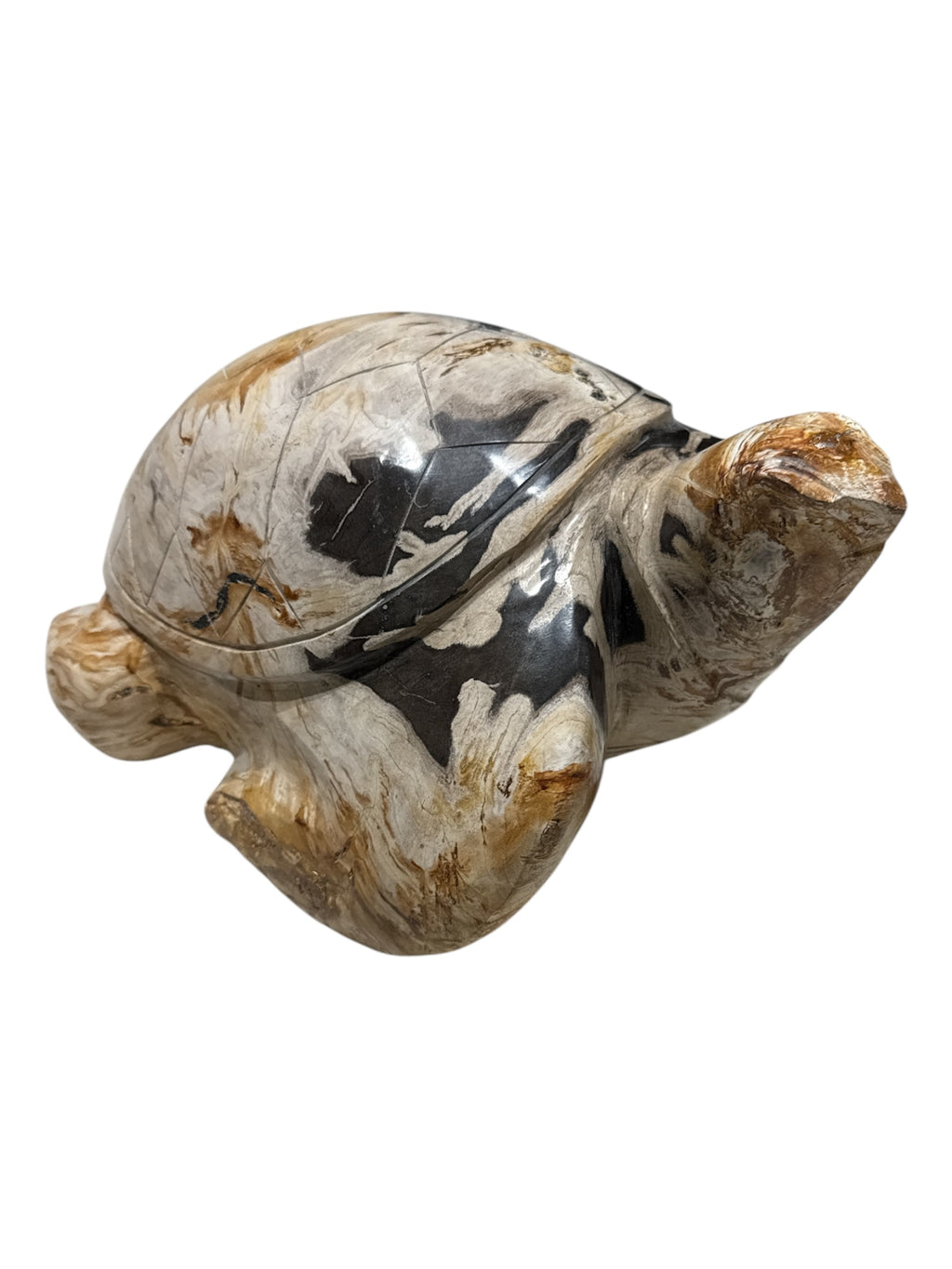 Real fossil petrified-wood stone sea turtle design showpiece for home office counter top decoration in Singapore