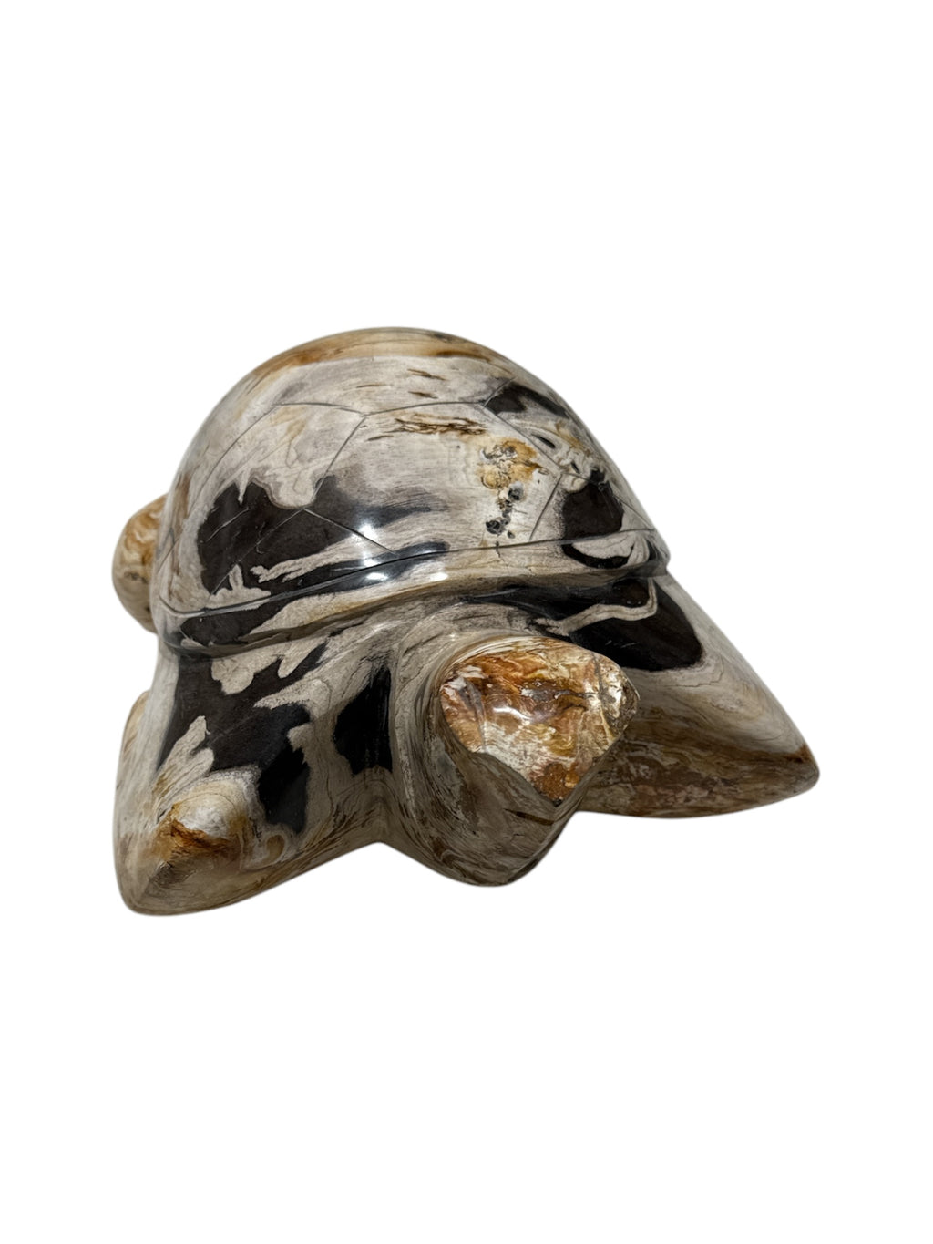 Real fossil petrified-wood stone sea turtle design showpiece for home office counter top decoration in Singapore