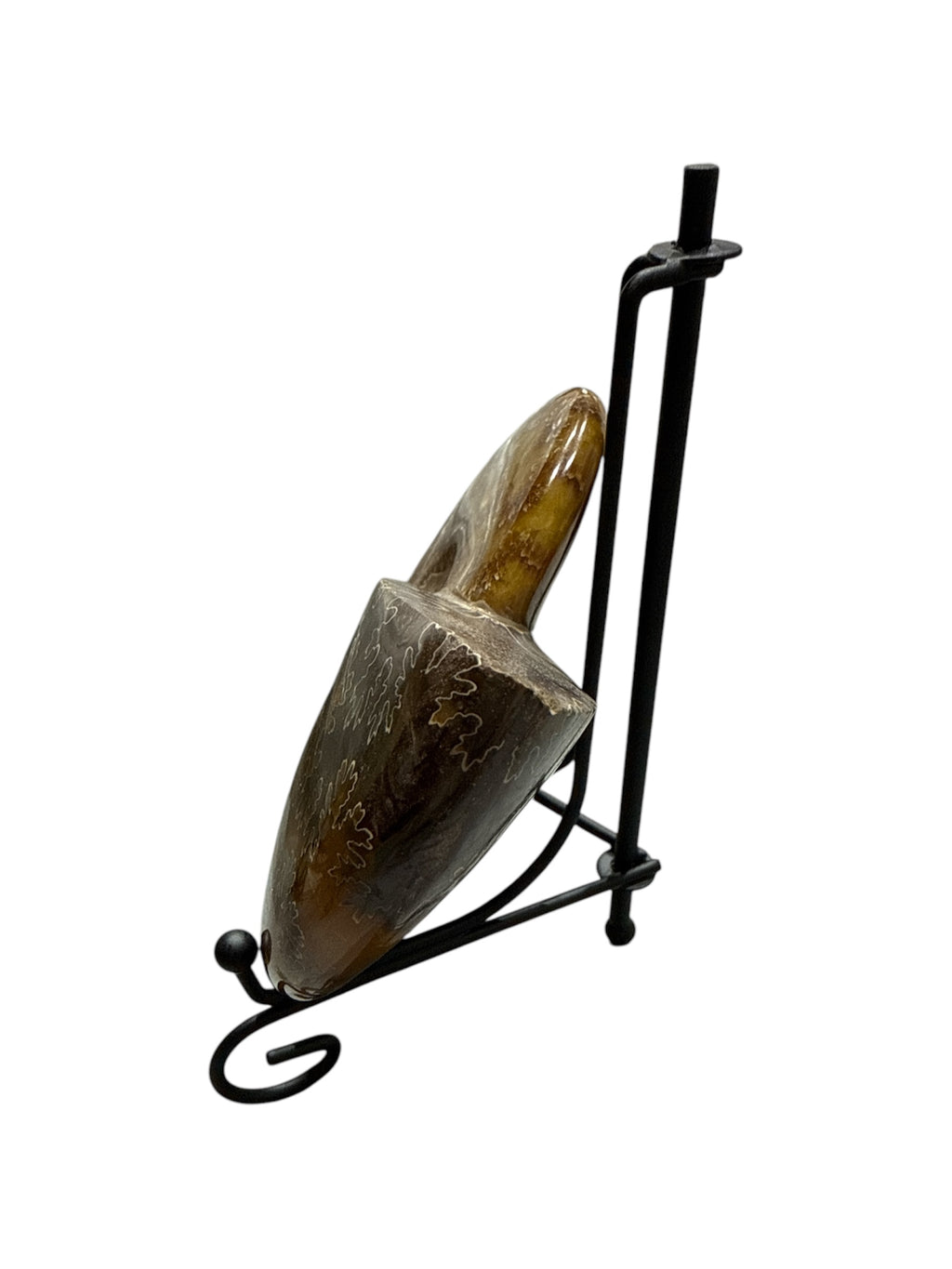 Real Natural Fossil preserved small shells sea creatures rock table top display showpiece best housewarming gift