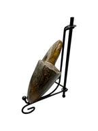 Real Natural Fossil preserved small shells sea creatures rock table top display showpiece best housewarming gift