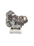 Slice of fossil petrified wood on beautiful stand showpiece living room tabletop decoration home interior housewarming gift