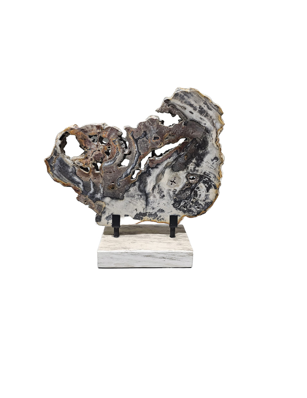 Slice of fossil petrified wood on beautiful stand showpiece living room tabletop decoration home interior housewarming gift