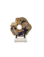 Slice of fossil petrified wood on beautiful stand showpiece living room tabletop decoration home best housewarming gift