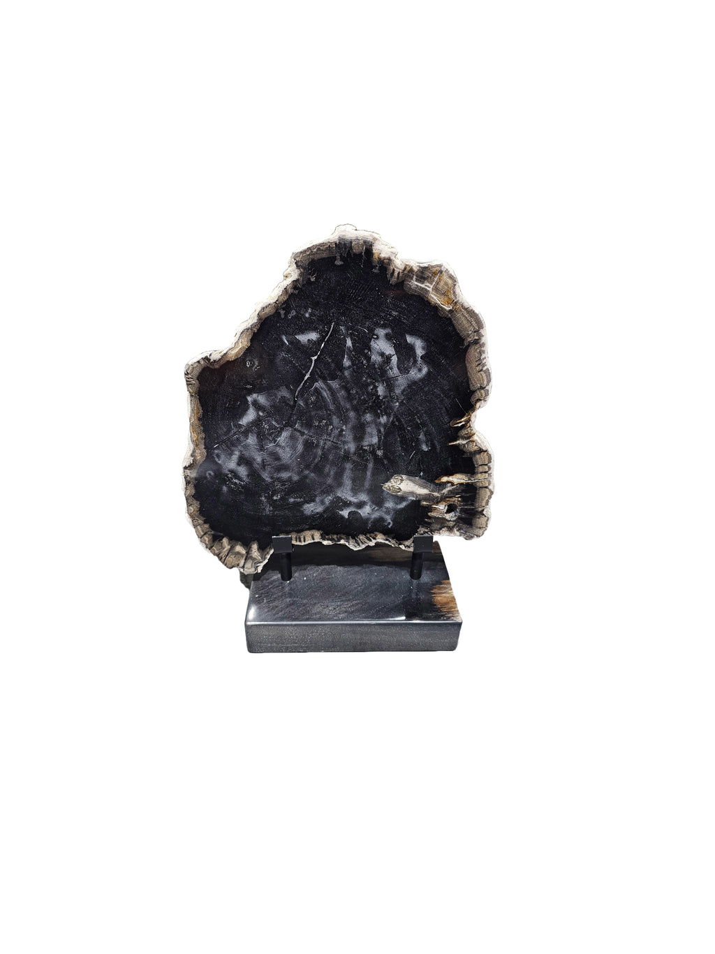 Fossil petrified wood on beautiful stand office desktop showpiece tabletop decoration home interior design best gift