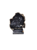 Fossil petrified wood on beautiful stand office desktop showpiece tabletop decoration home interior design best gift