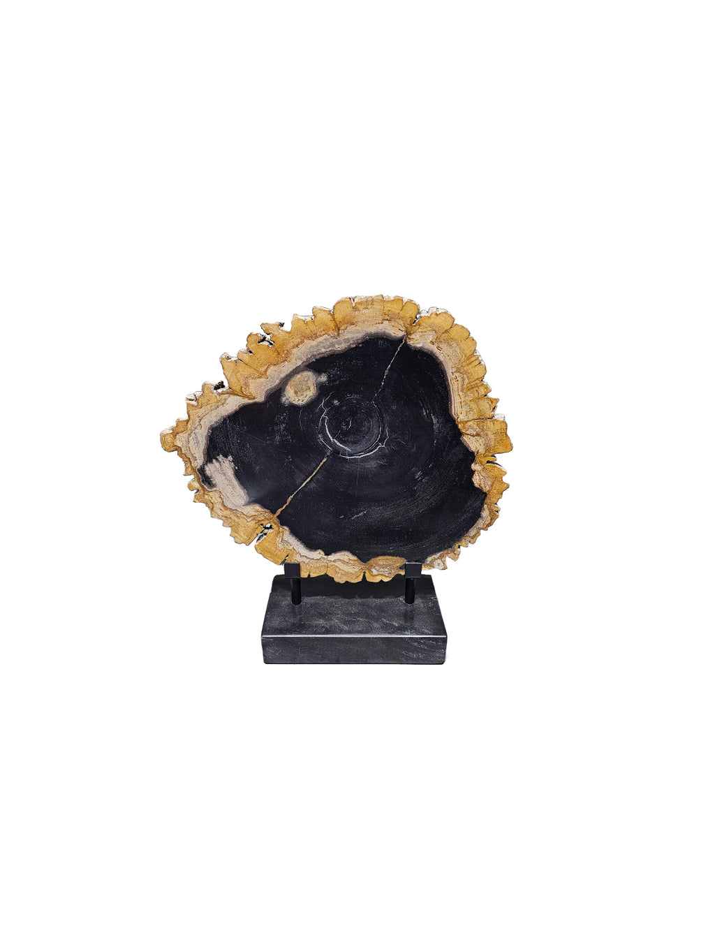 Fossil petrified-wood on stone stand office desktop showpiece tabletop decoration home interior design best gift