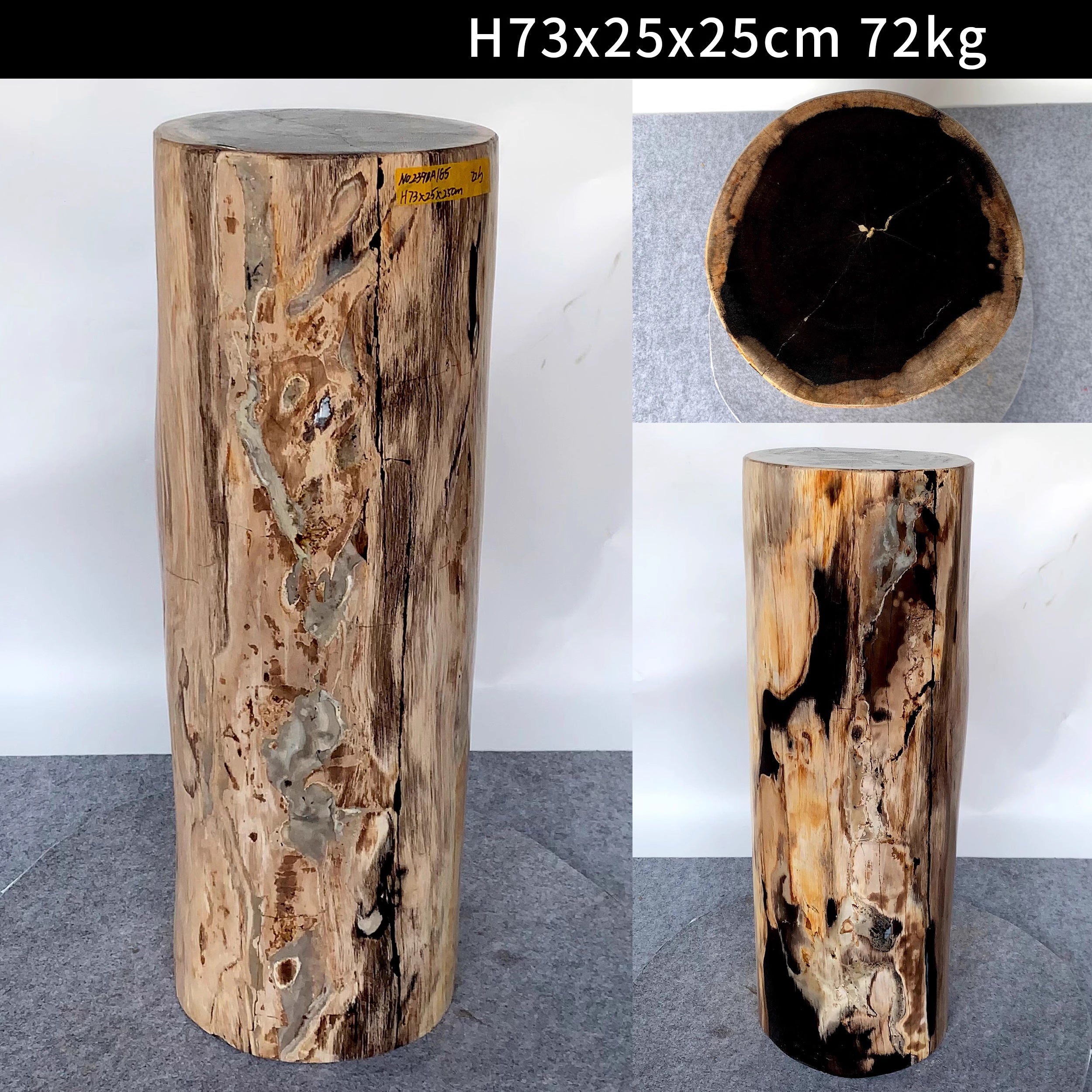 Pedestal Fossil petrified-wood stone log block stand showpiece pedestal for decoration home interior design in Singapore
