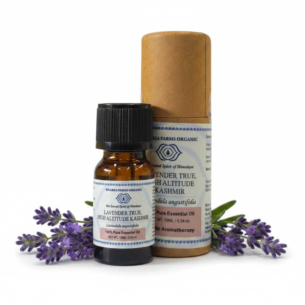 Lavender True High Altitude Kashmir 10ML , 100% Organic Concentrated Essential Oils, Aromatherapy Relaxation