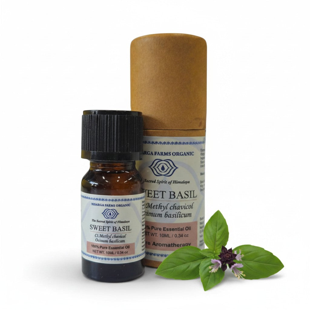 Sweet Basil 10ML, 100% Organic Concentrated Essential Oils, Aromatherapy Relaxation, Mood Enhancement, Stress Relief