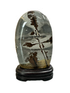 Guangxi Chinese limestone painting stone natural stone ornamental stone grass flower ornaments living room office decoration