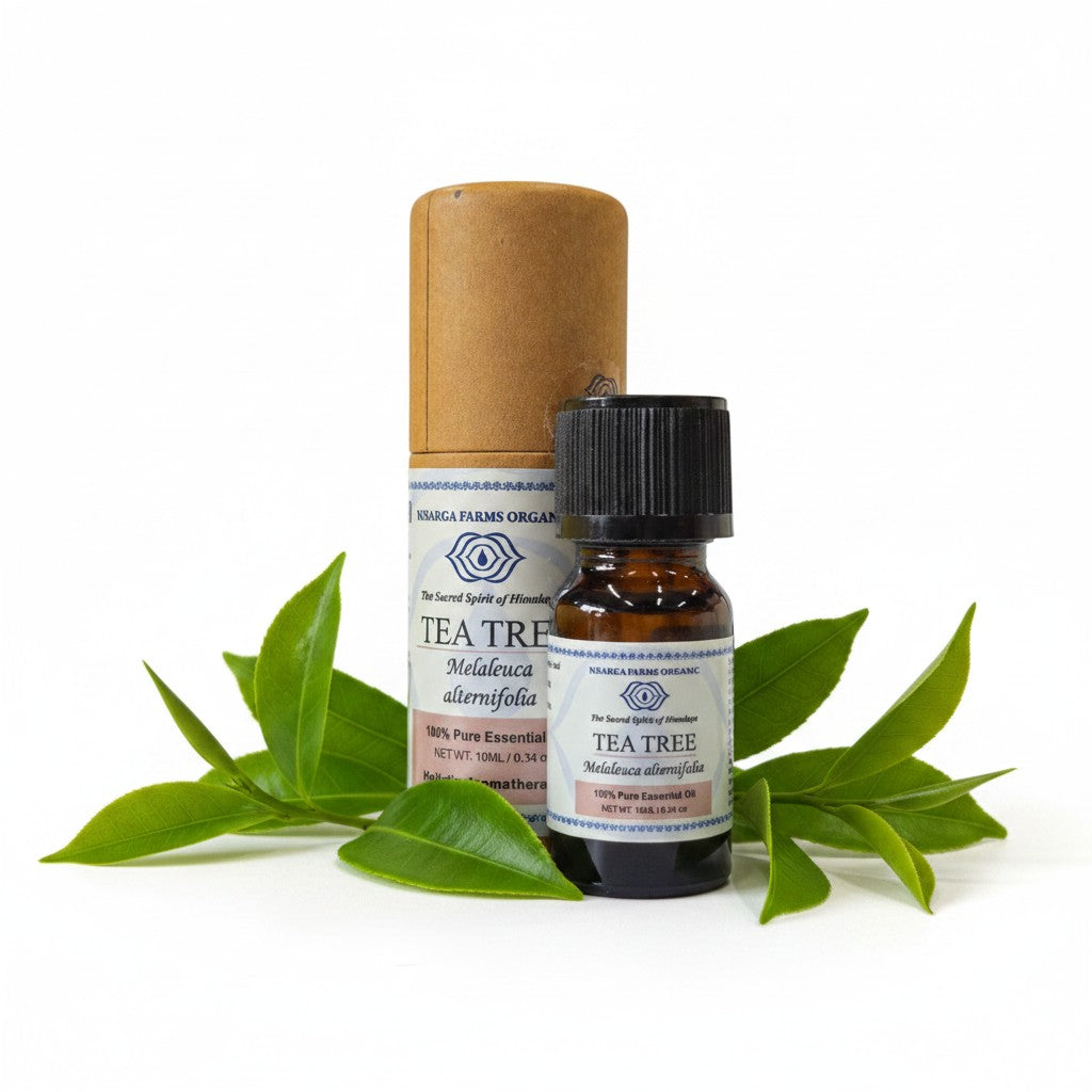 Tea Tree 10ML, 100% Organic Concentrated Essential Oils, Aromatherapy Relaxation, Mood Enhancement, Stress Relief